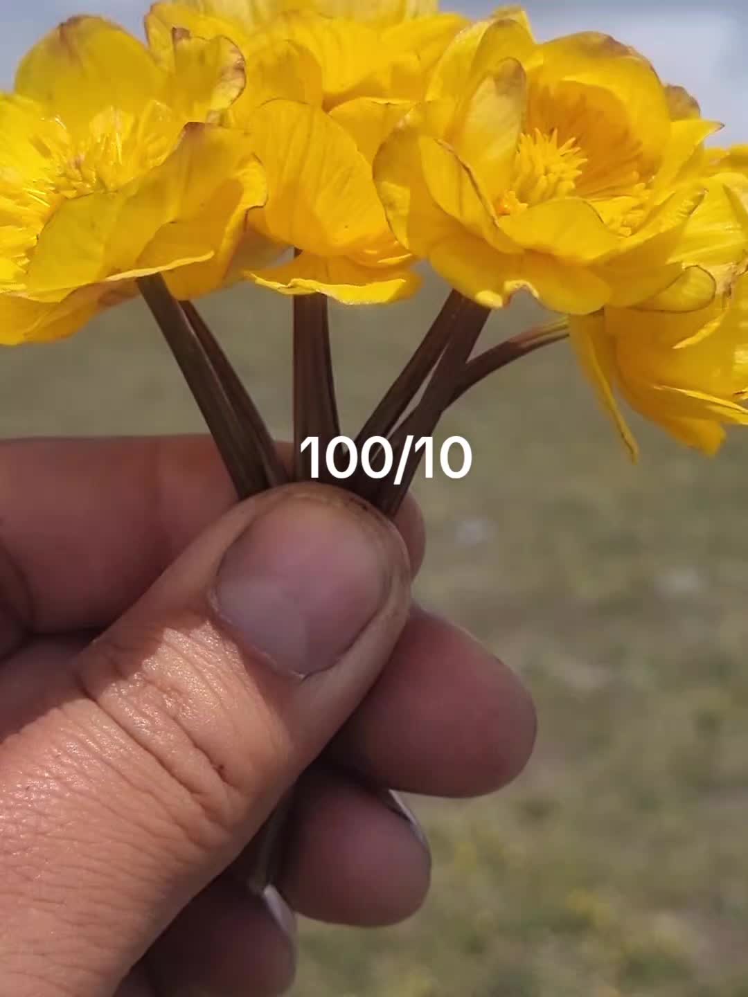 @yusufbek868