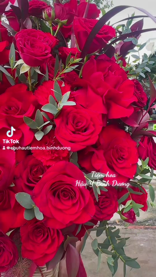 @Chú Hậu Tiệm Hoa Bình Dương
