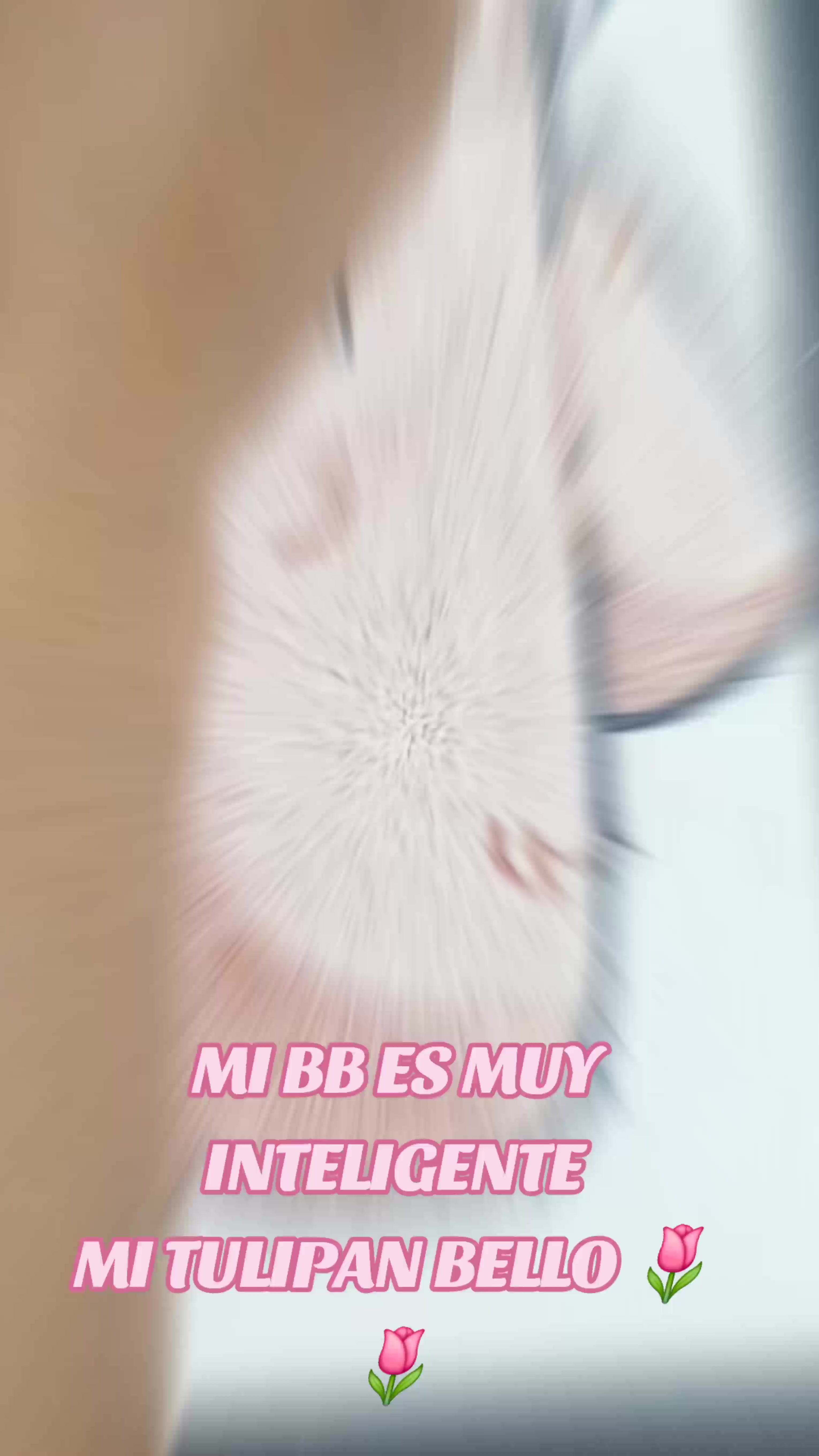 @KATA