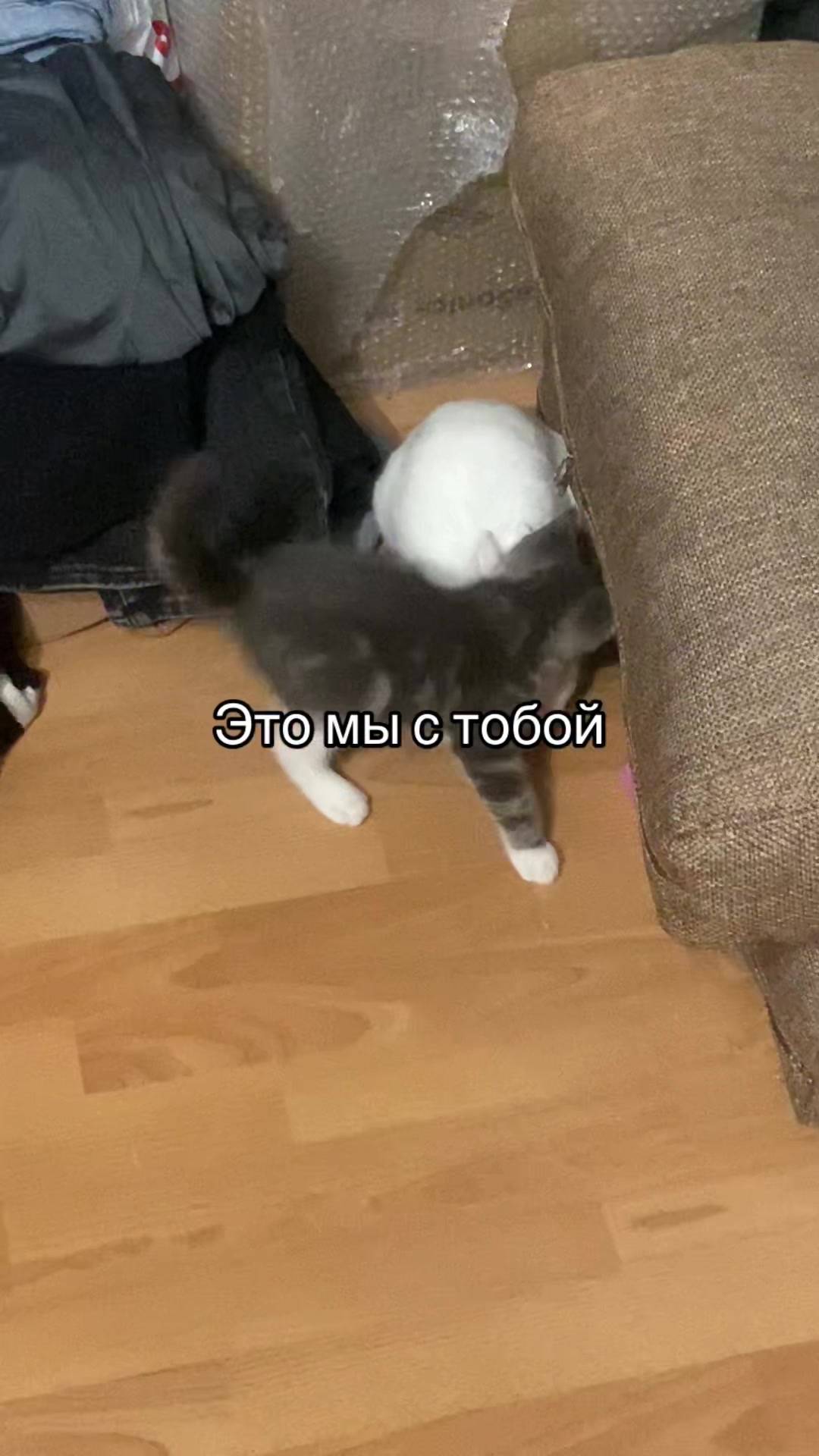 @Полина♥️