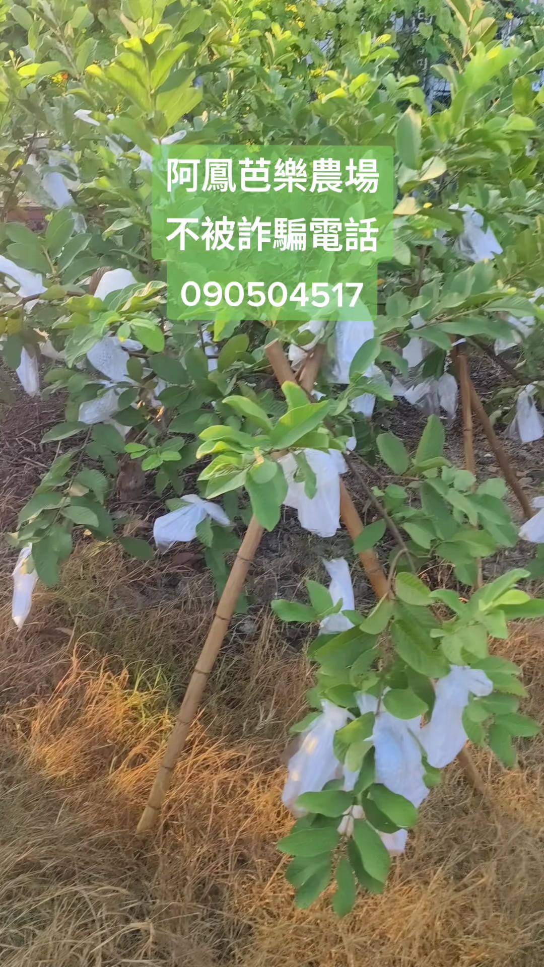 @阿軒