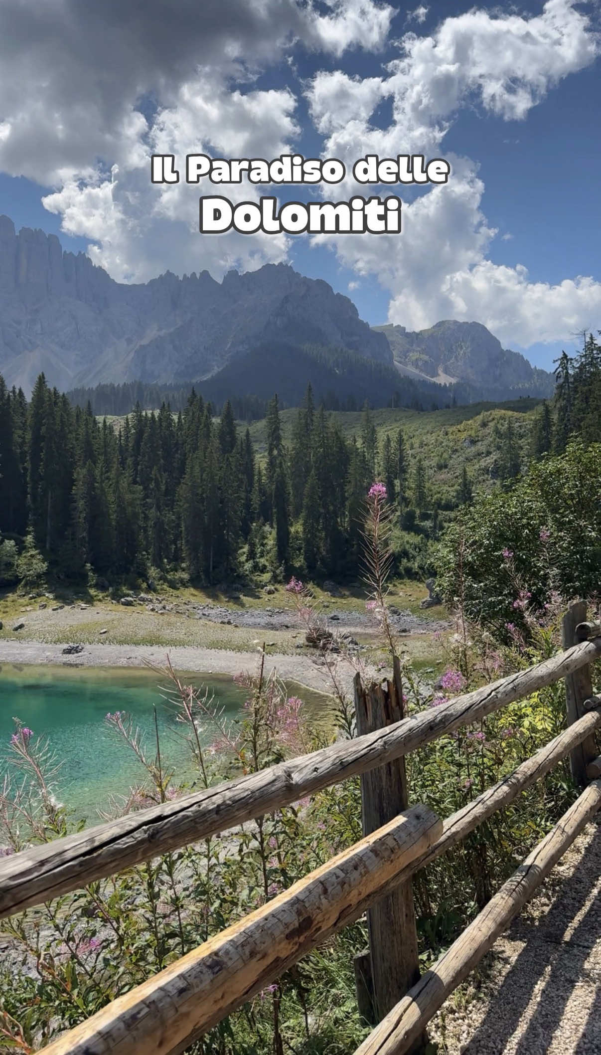 @Veronica | Travel creator