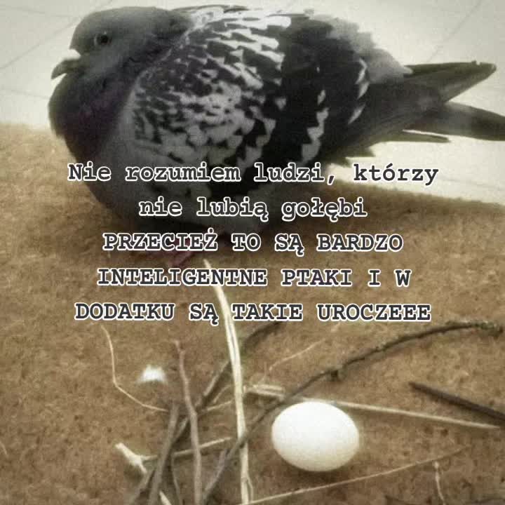 @⚝𝖌𝖔ł𝖔𝖒𝖕⚝