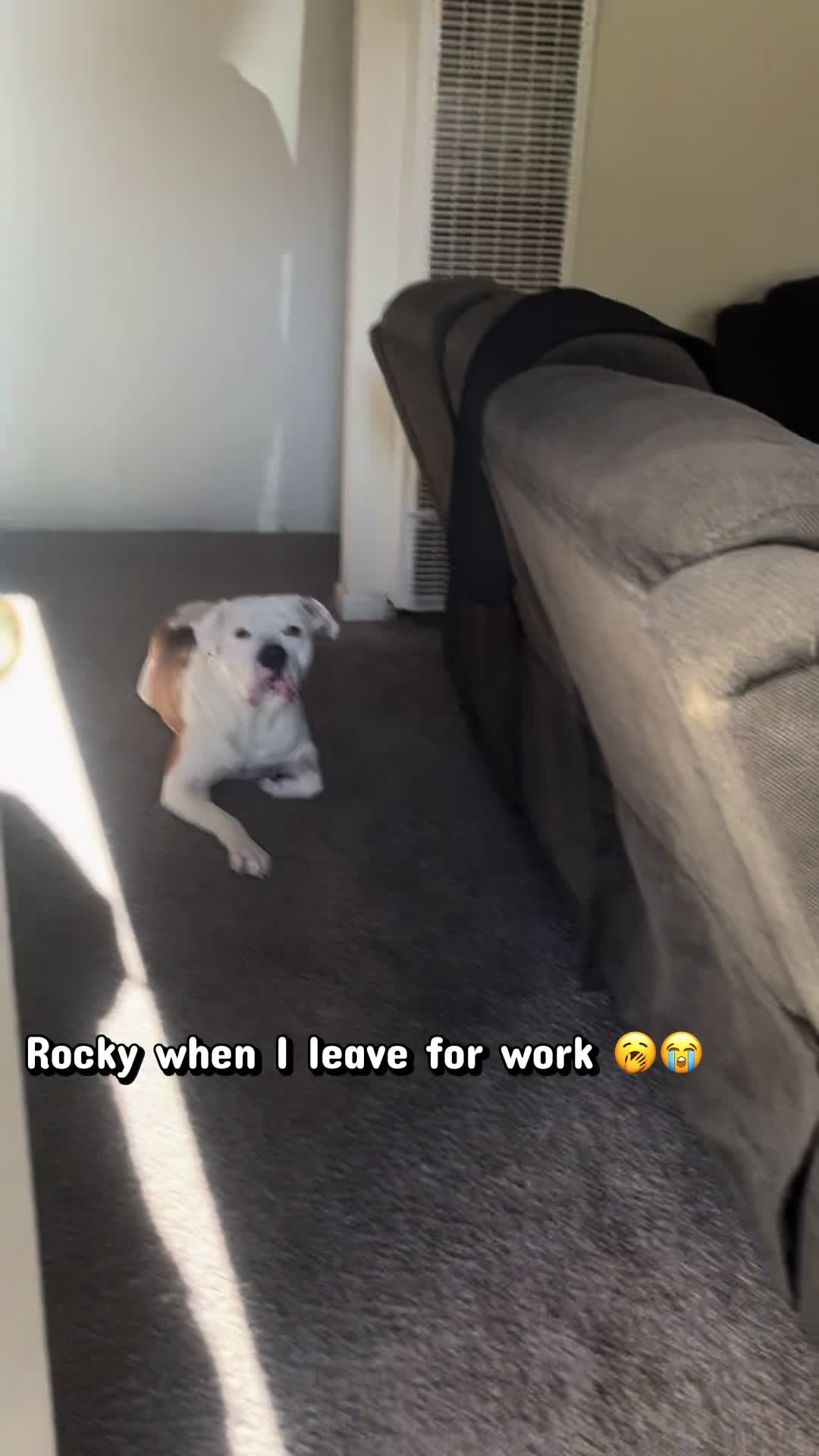 @Rocky Balboa