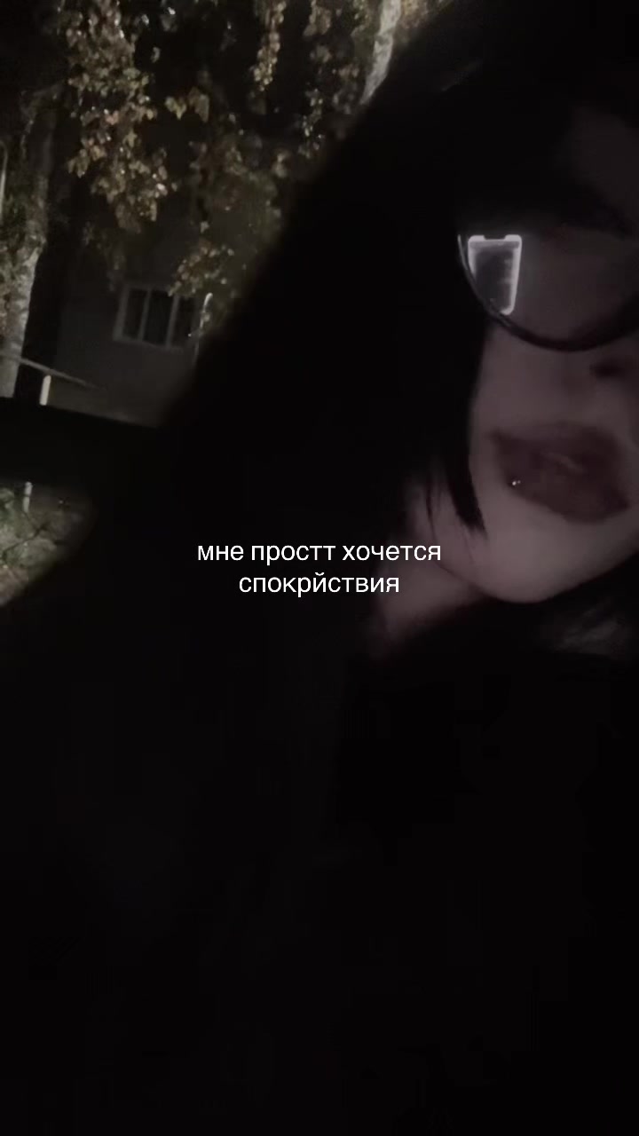 @vikadoto