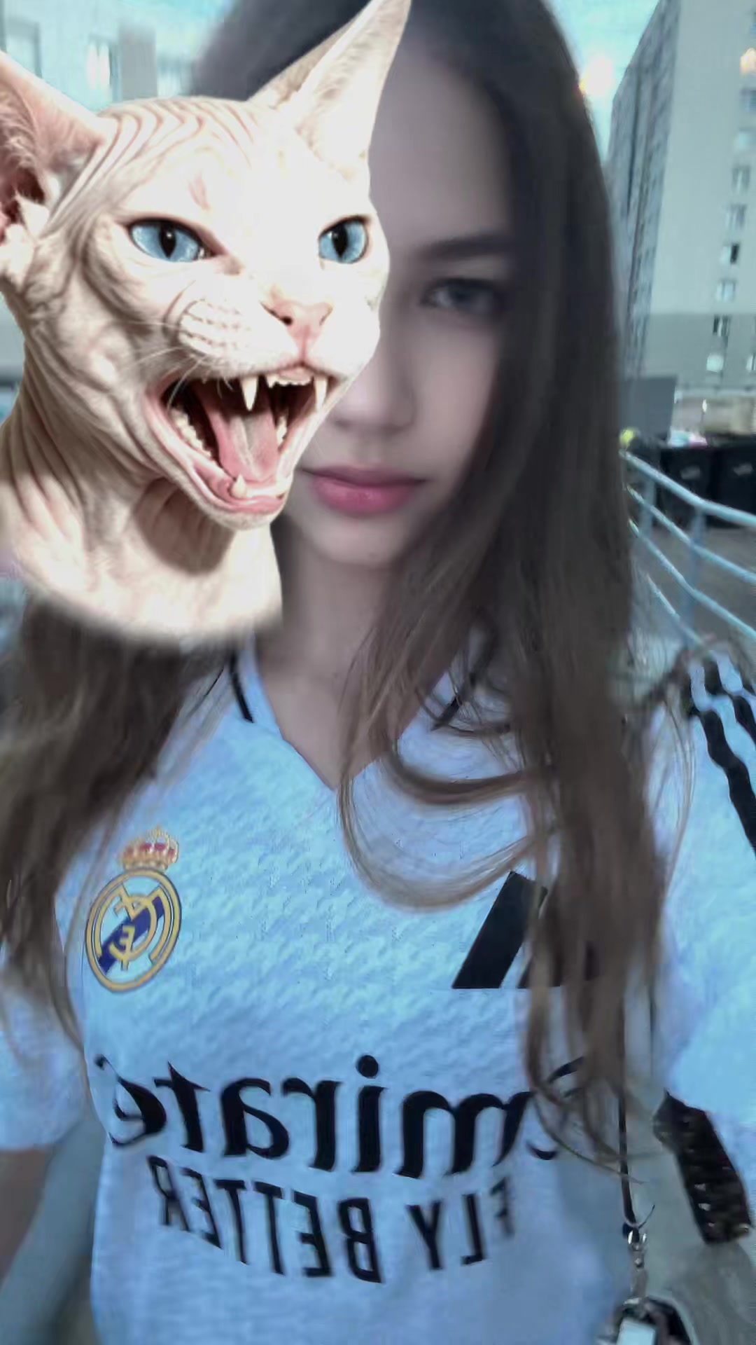 @leo_nil🐆
