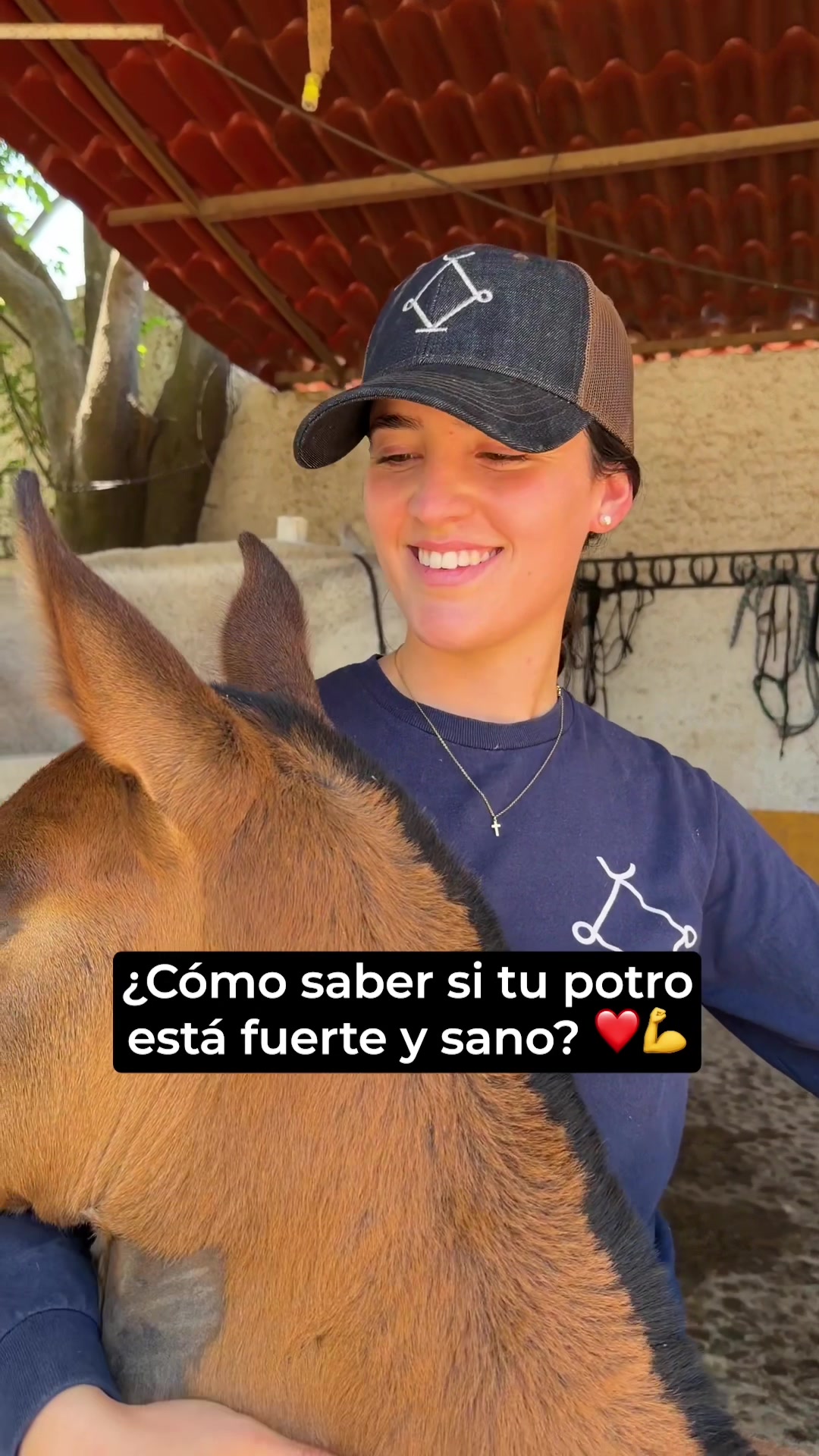 @Agua Zarca, Caballos Españoles