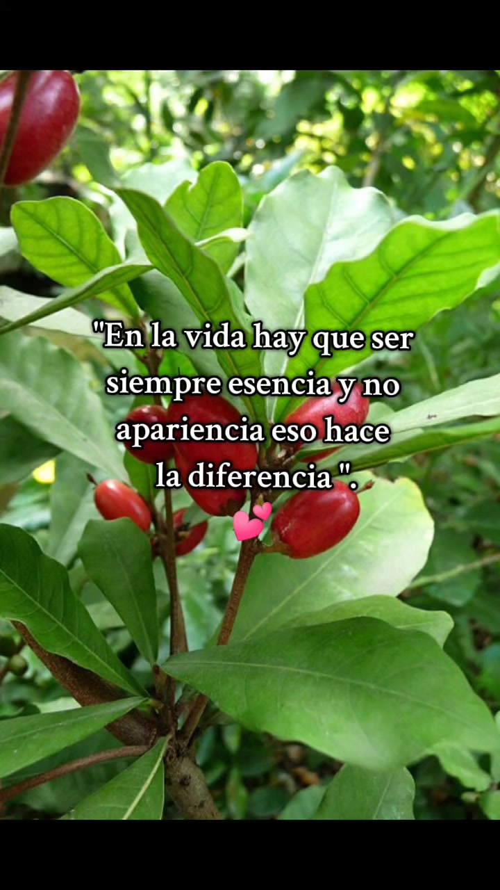 @❤️💫Marichuy♈🍀💐