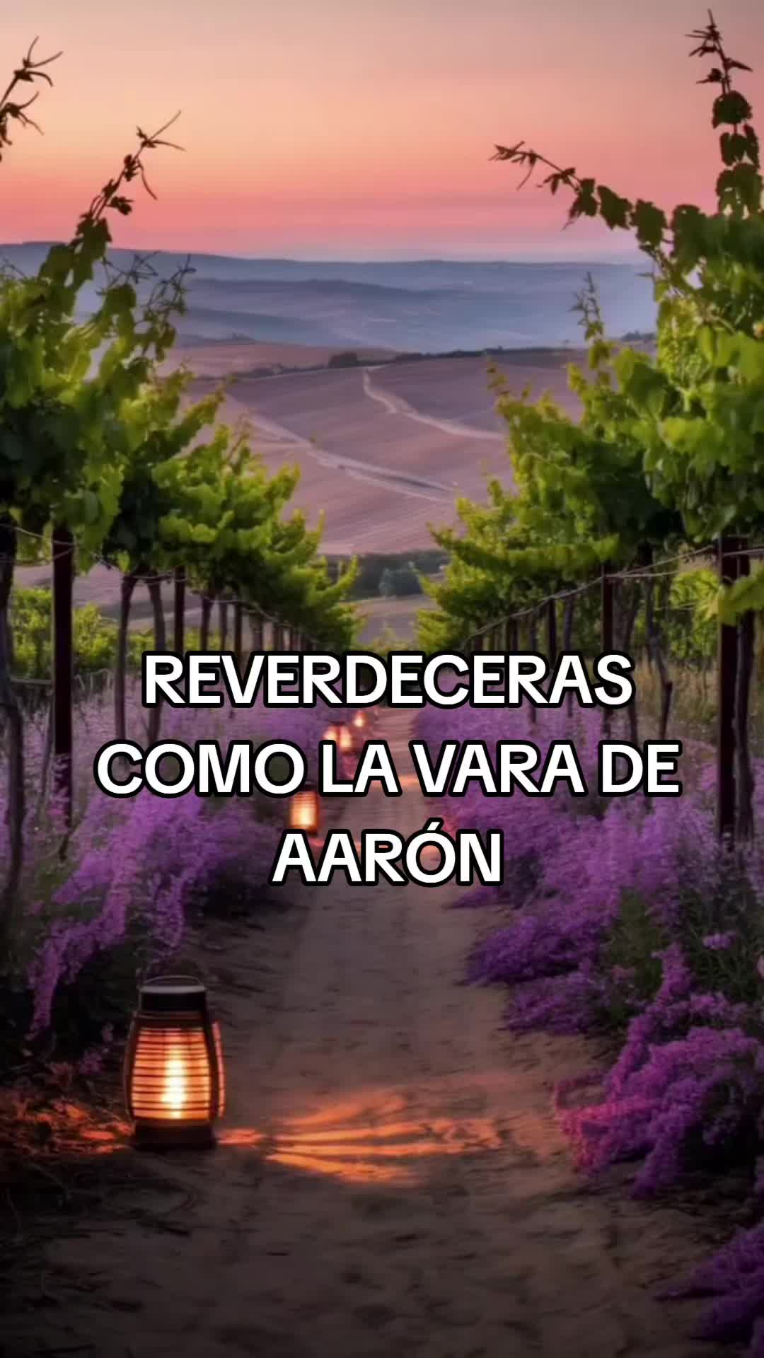 @sarahi