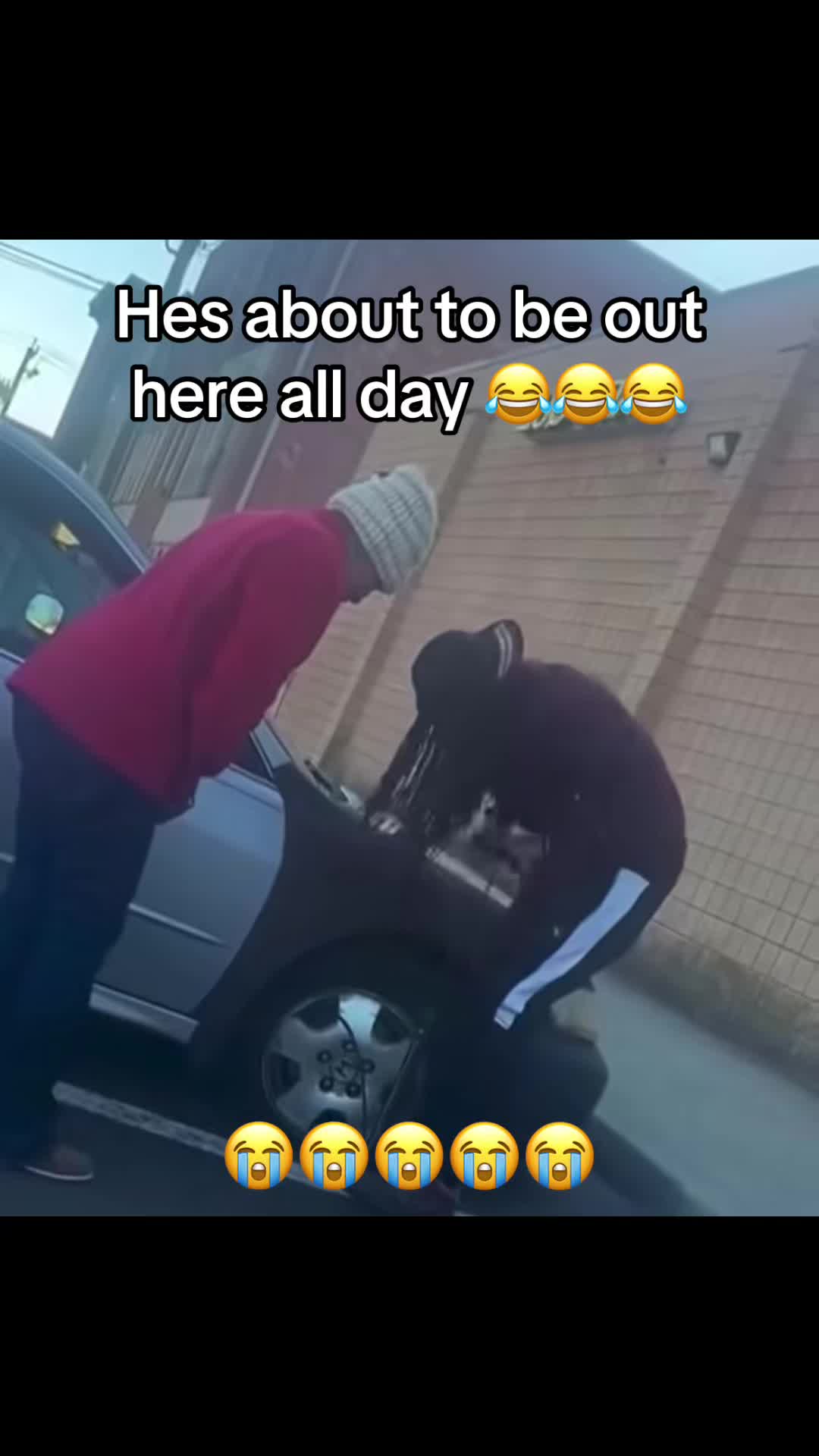@humanbehaviorlmao