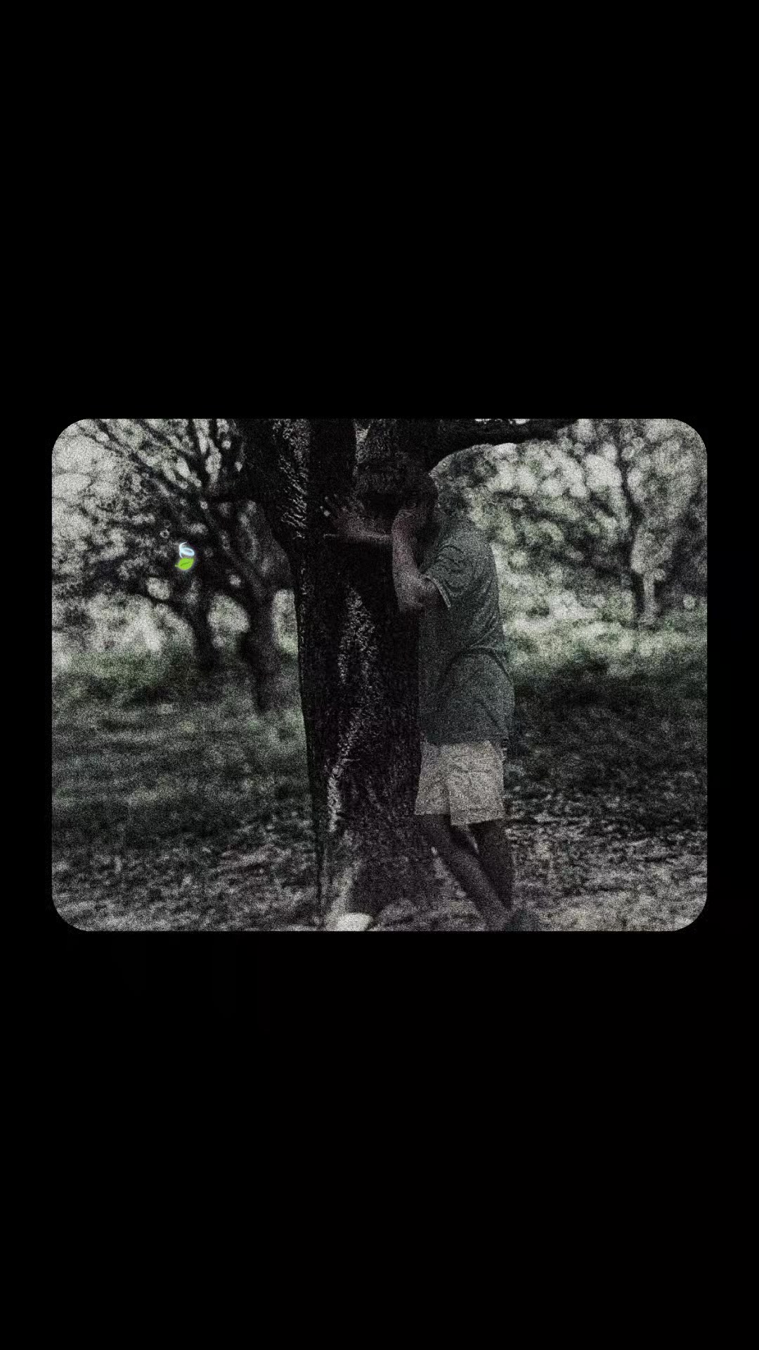 @🚩
