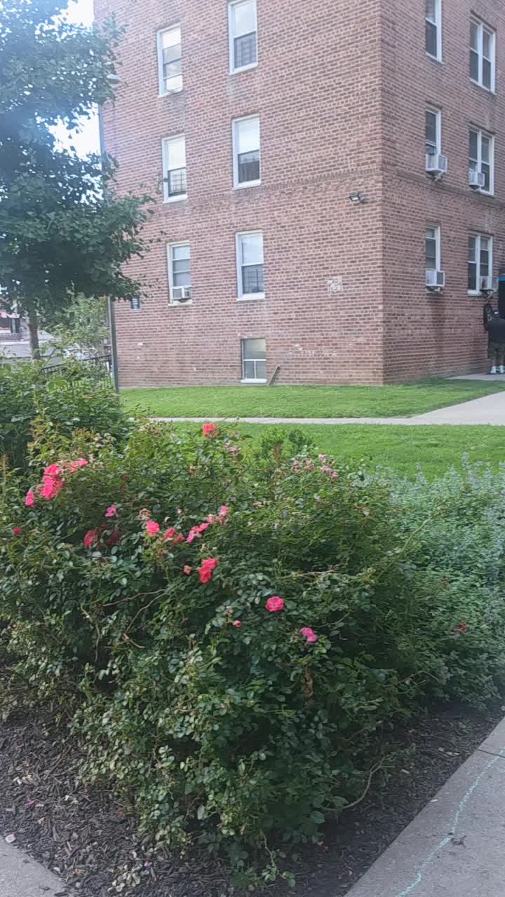 @Razi.132
