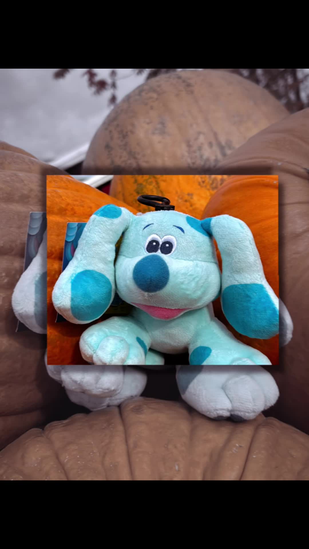 @moonlight chaser