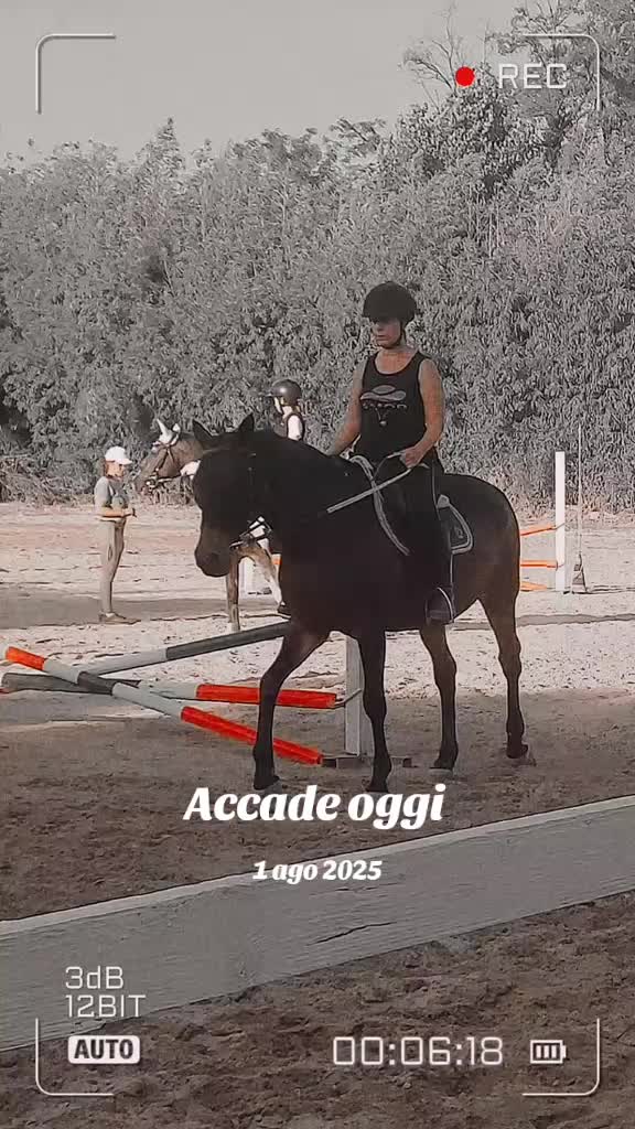 @Alessia Tognoli