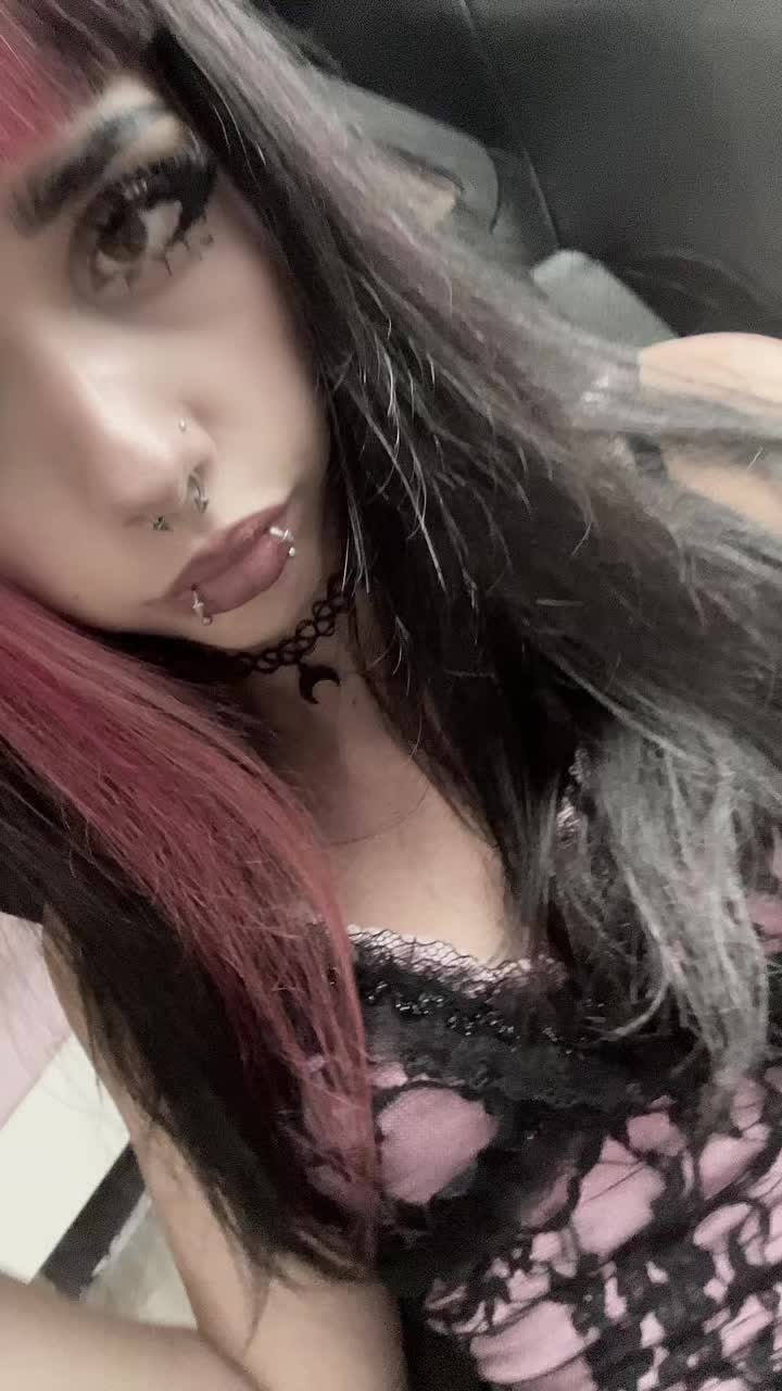 @🐾🐾🐾