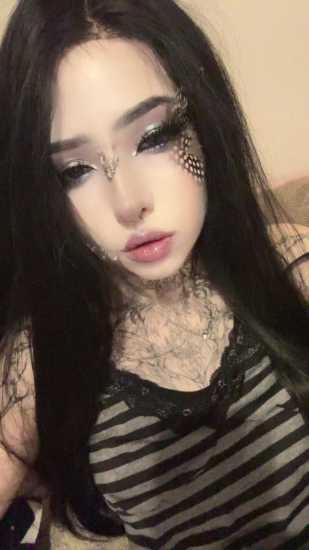 @dark dynasty