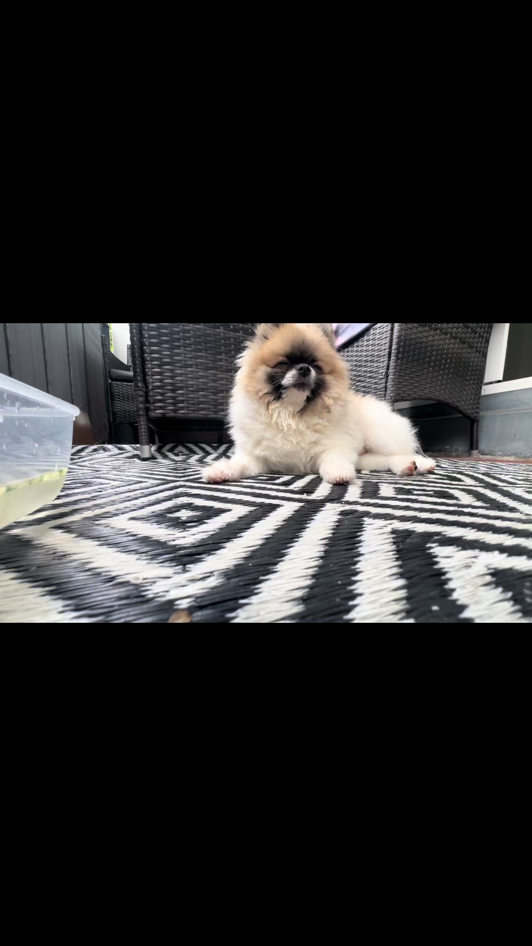 @mocxkrt