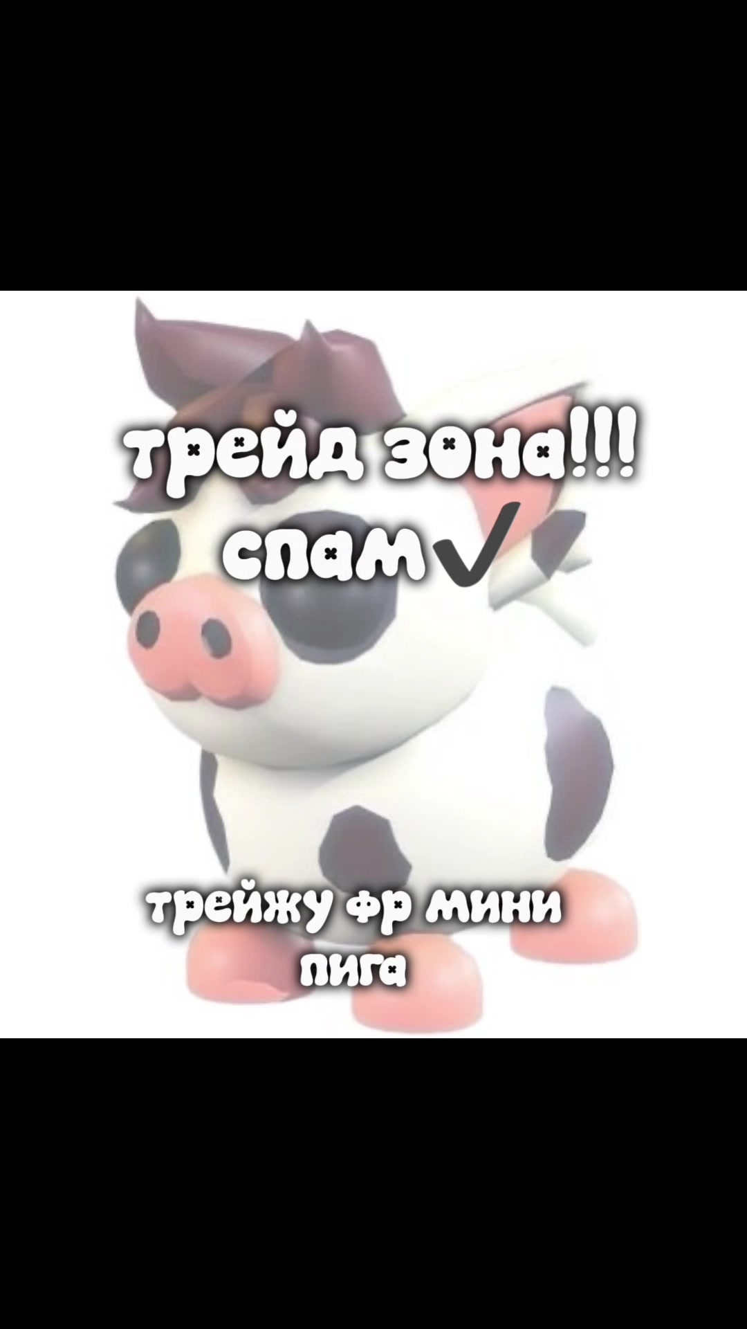 @꒰ዞ⍺𝗒ﮐ𝗂˚🤍