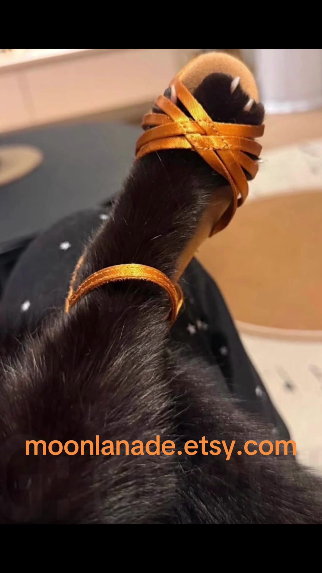 @Moonlana