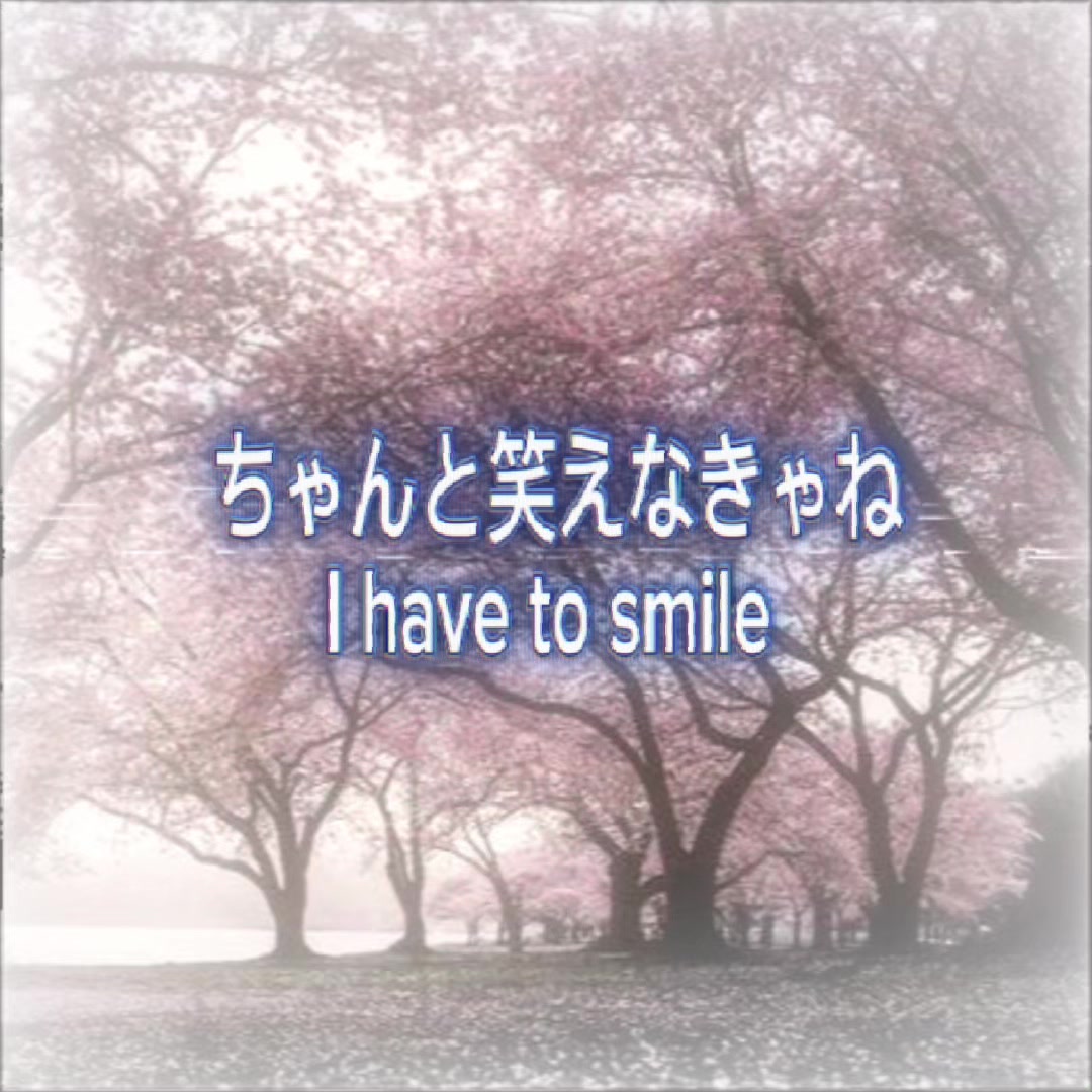@ʕ &bull;ᴥ&bull;ʔ