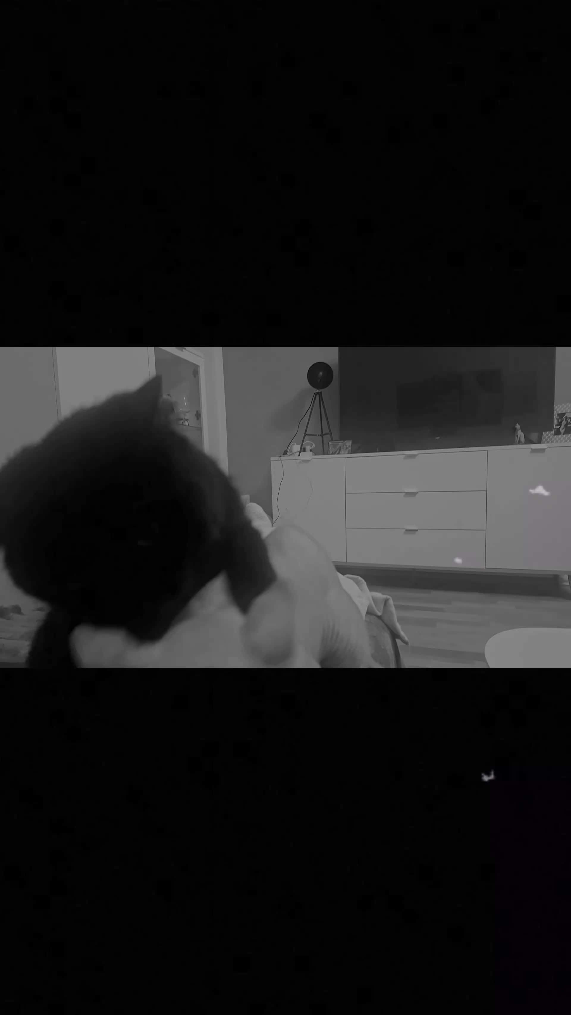 @Amelie_D&uuml;