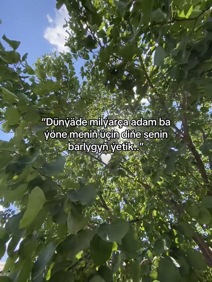 @ballyýevvv