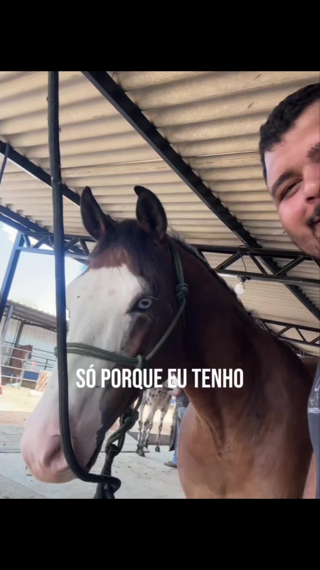 @pedroorzia_