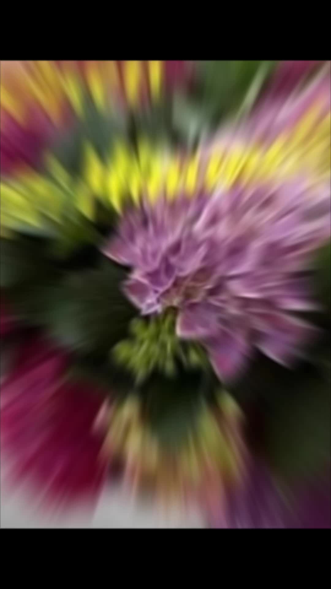 @bgruhn33