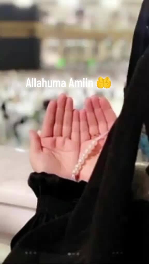 @hawalool