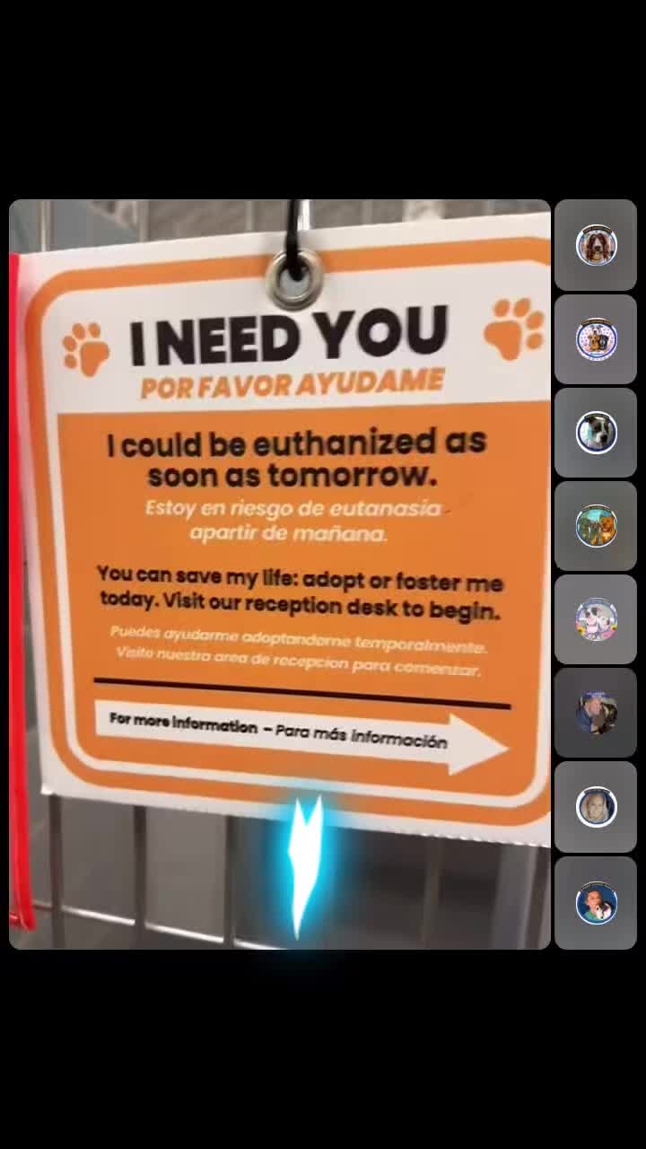 @pawssavingpaws