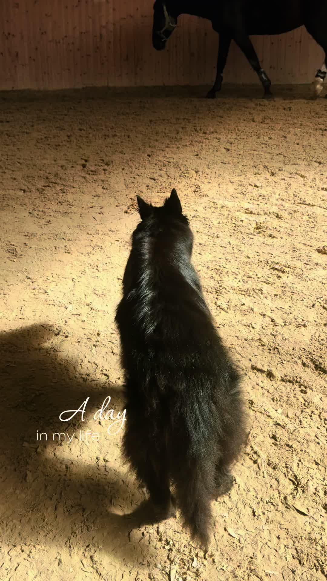 @๐๐ฒ๐ฌ๐ฑ๐ฒ๐๐ป๐ช๐ฟแฐ