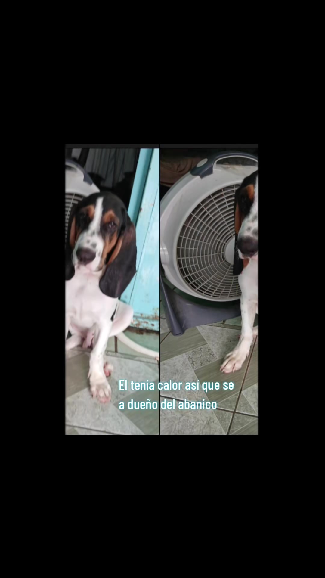 @DANZA LA ESPERANZA