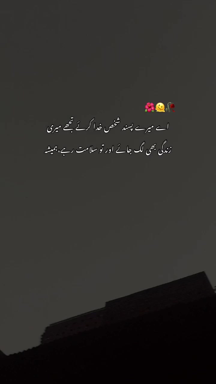 @>پاگل ہو <🦋