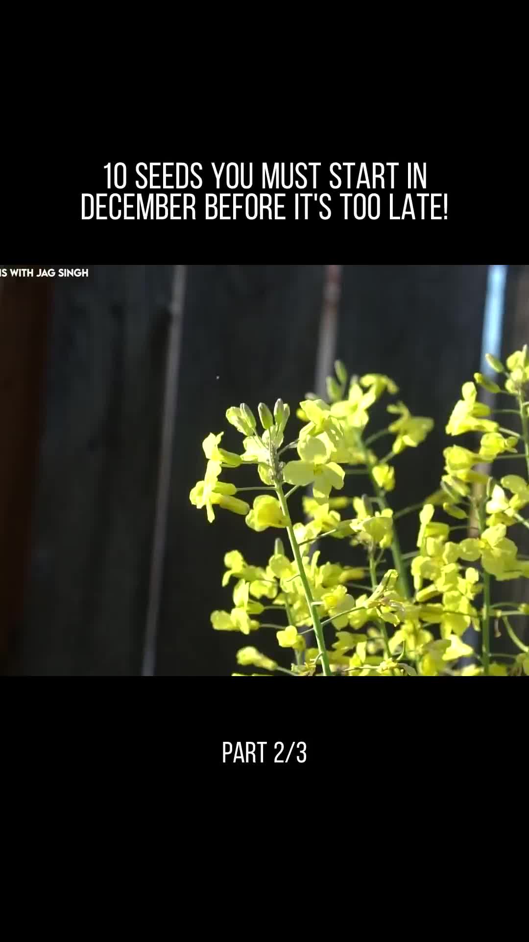 @user32331650853717