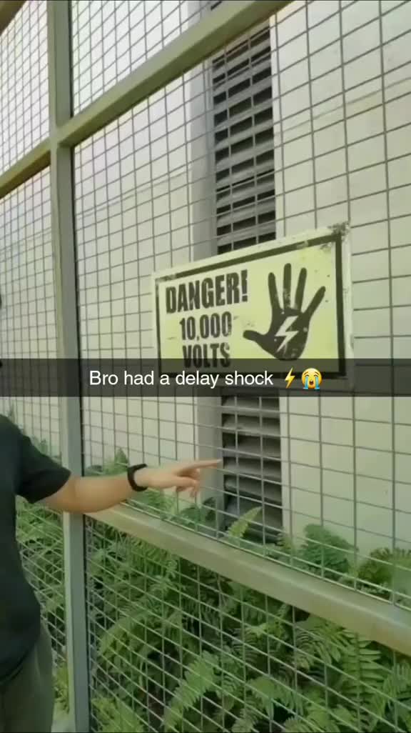 @MemeHub