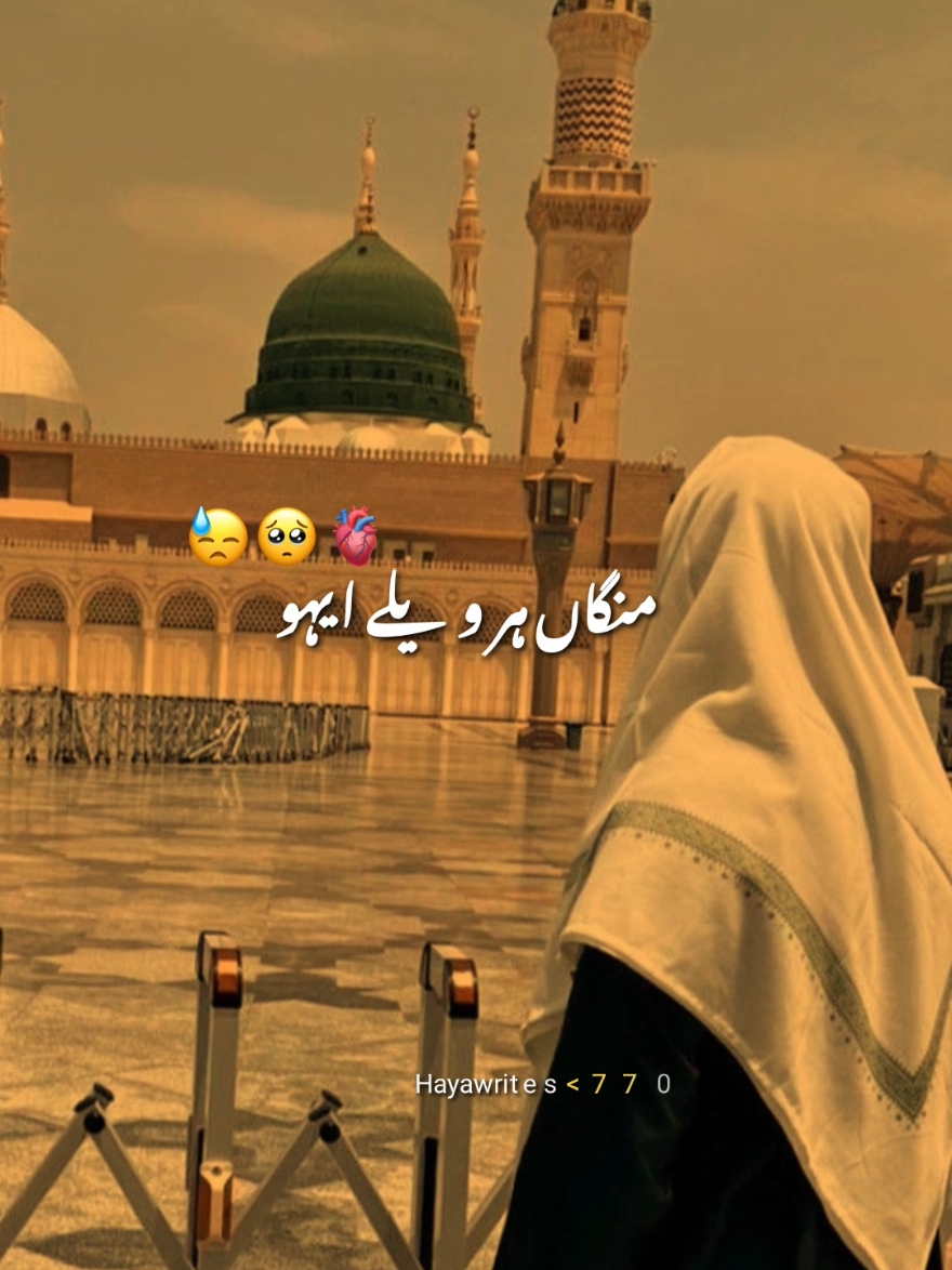 @Haya