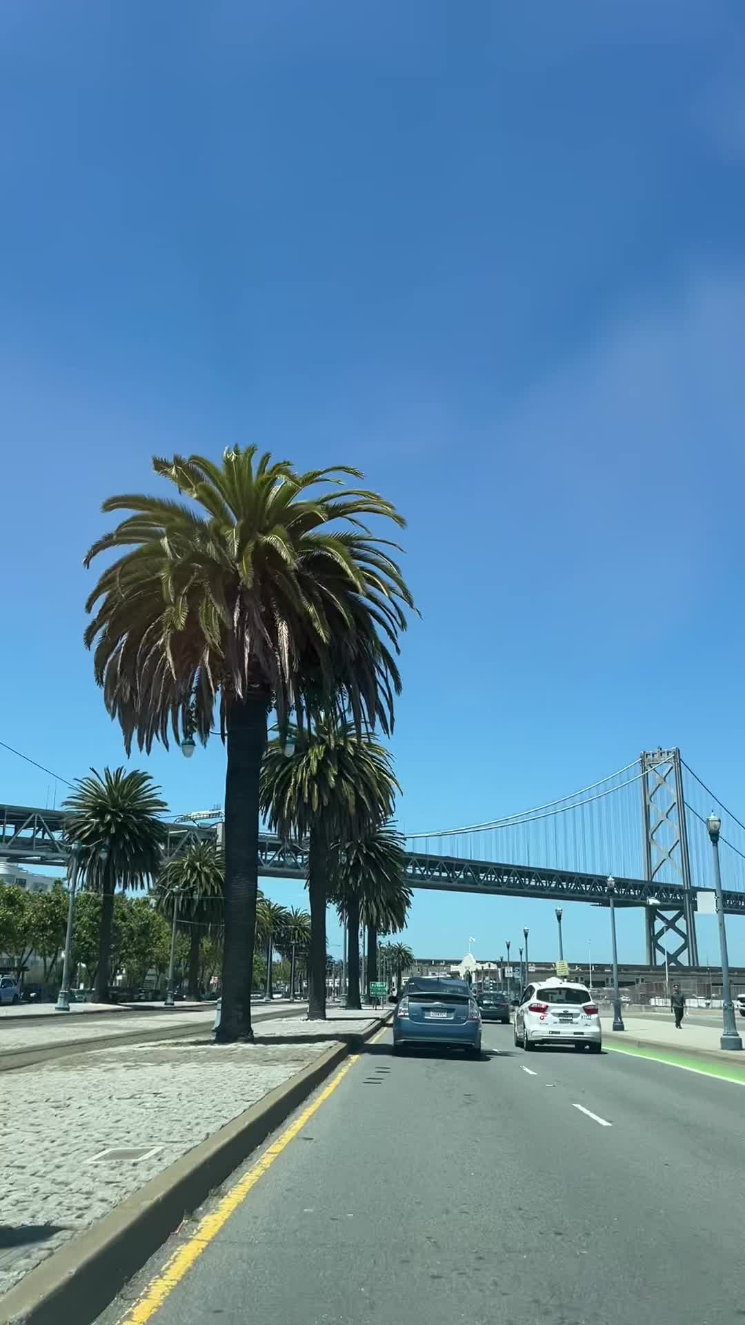 @🪷⭒˚⋆⛅️｡