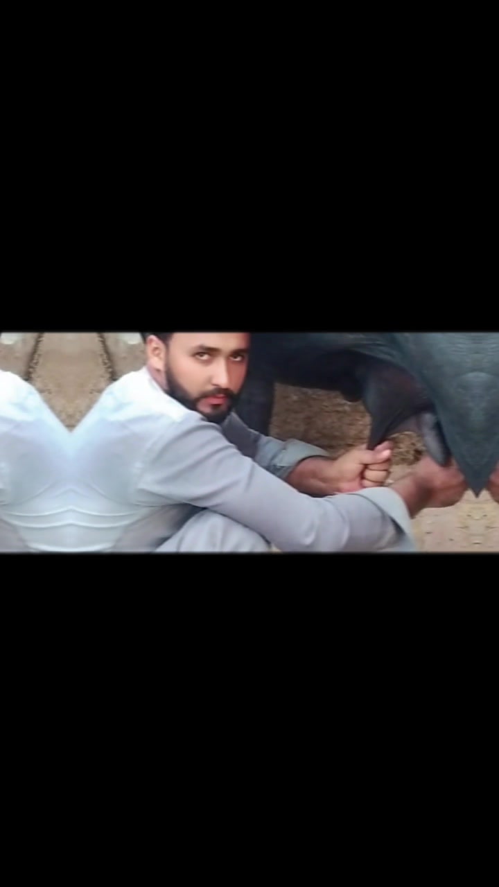 @Rai jawed789