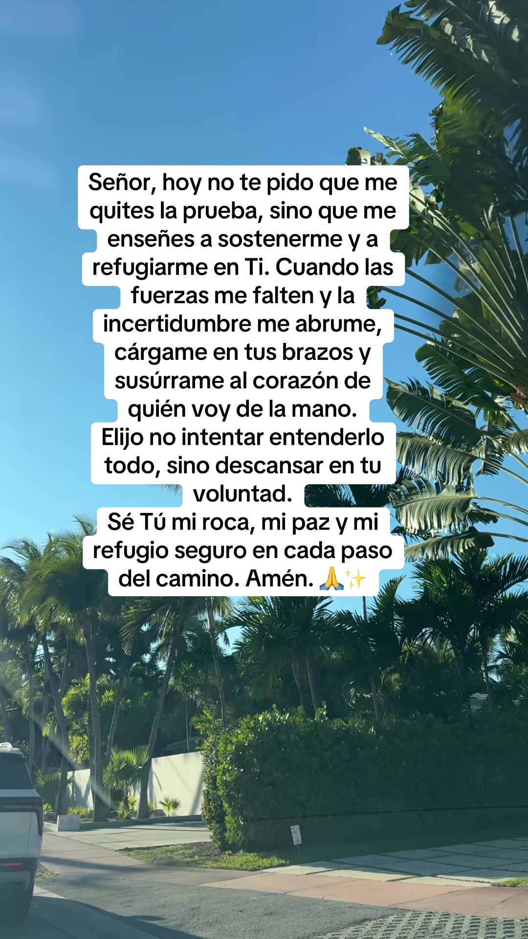 @🌸Emperatriz 🌸