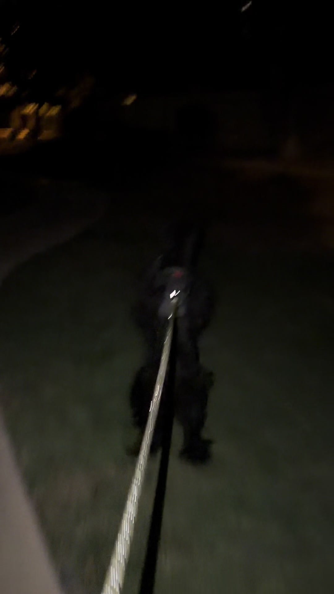 @Fiona Walks