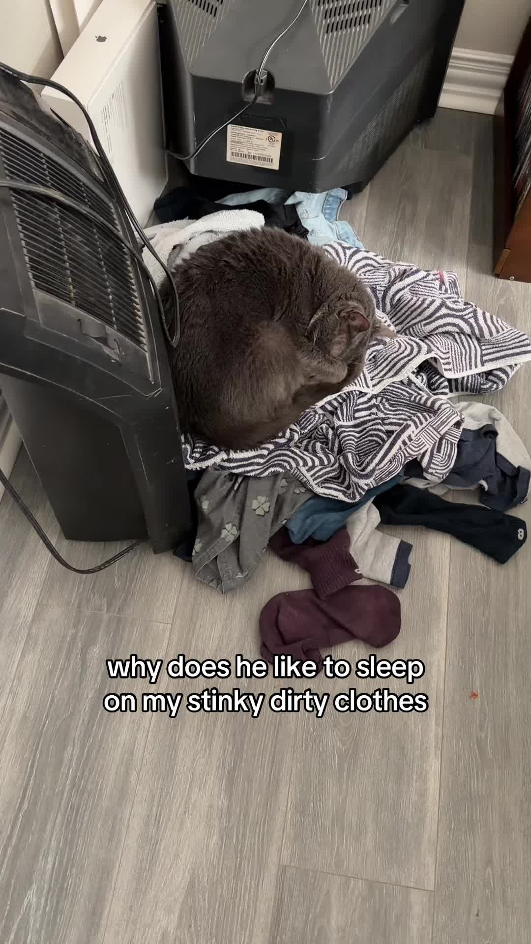 @stinkwalker