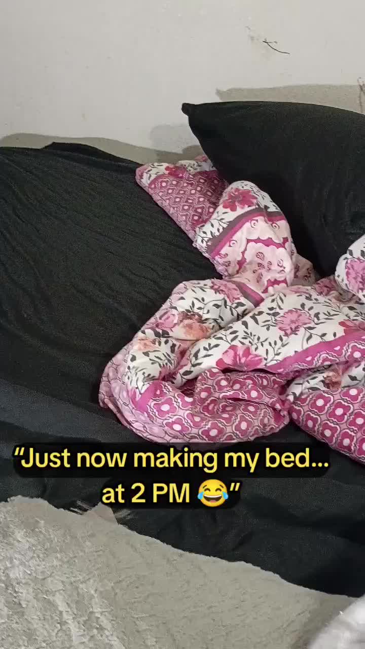 @chapis2479