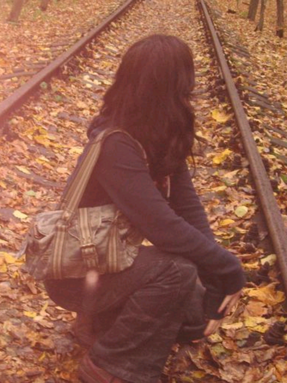 @⋆˚꩜。fall_diary⋆˚꩜