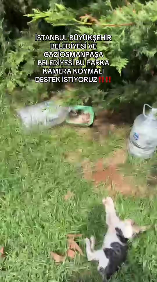 @Tuğçeeee 🪩🍸🩶