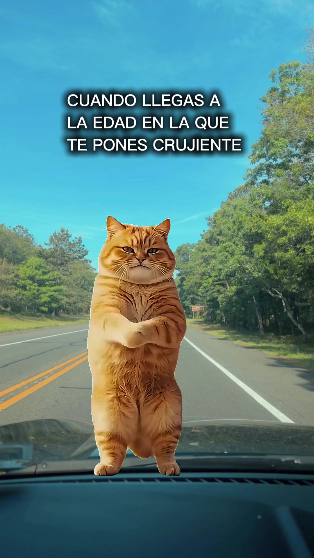 @🦁🐓𝐒𝐚𝐧𝐝𝐫𝐲 🦅🐬🧢🧚🏼&zwj;♀️