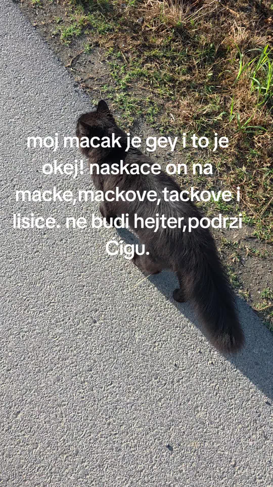 @jebivjetarpro