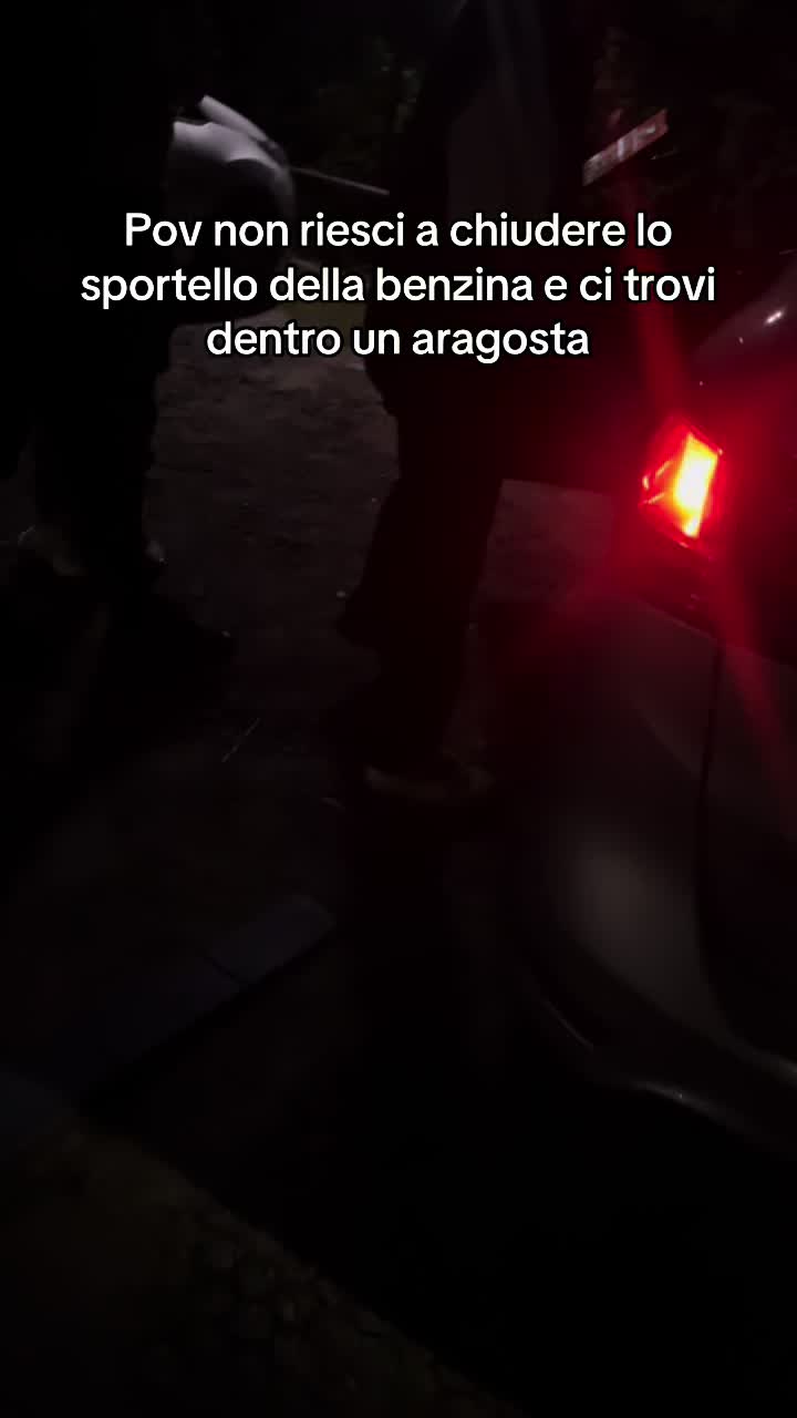 @gattinocattolico