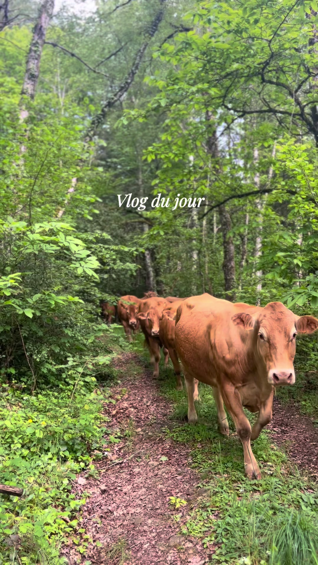 @Océ’