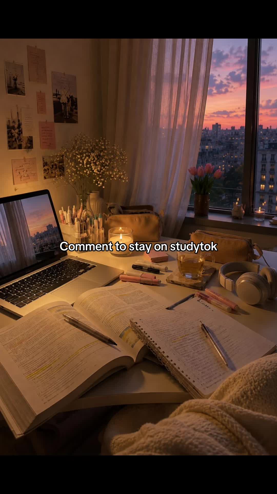 @studywithsheilz