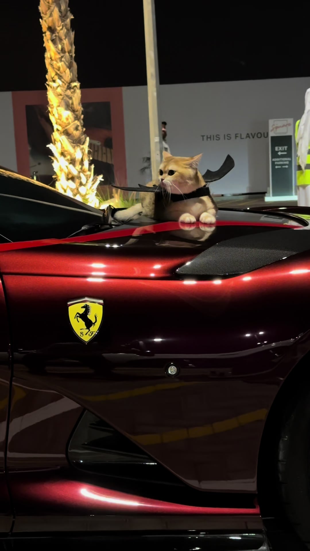@brz